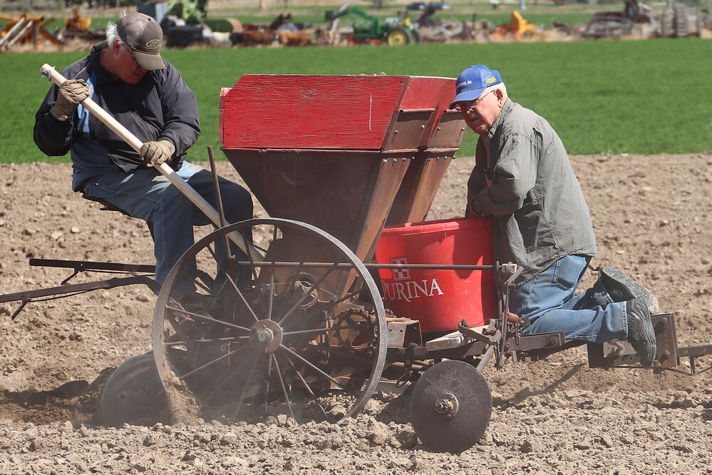 Legacy of the Plains Potatoes